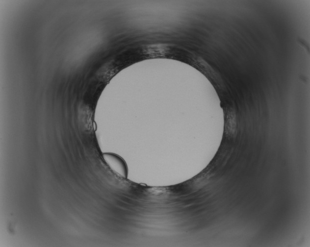 X0000100870477200807181240