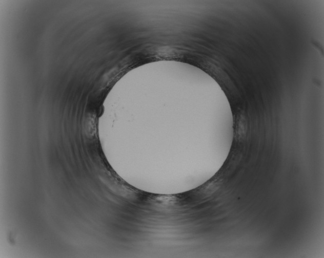 X0000100870478200807181240