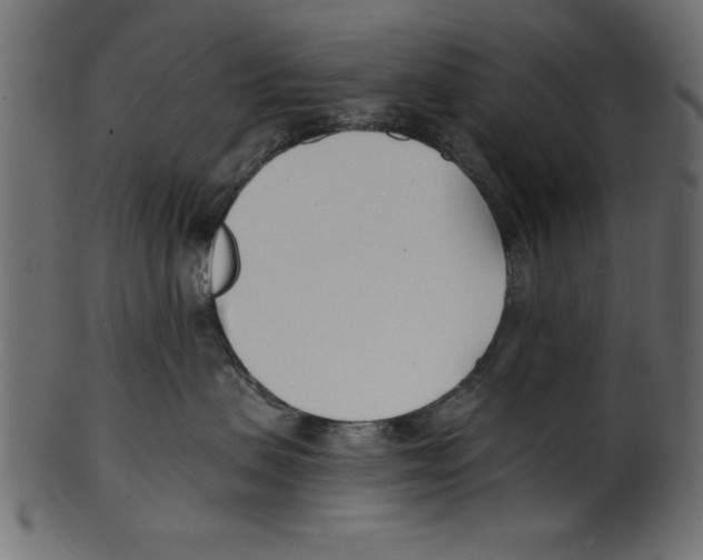 X0000100870479200807181240