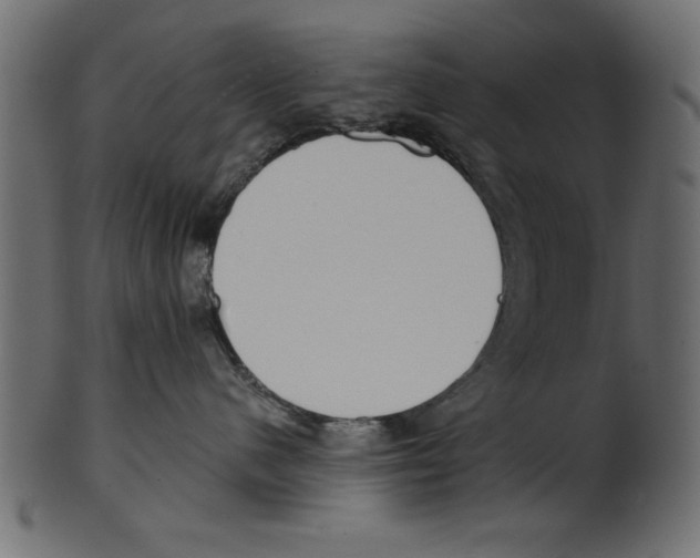 X0000100870480200807181240