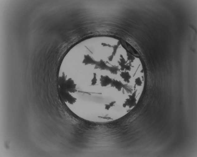 X0000100870481200807181240