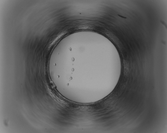 X0000100870482200807181240