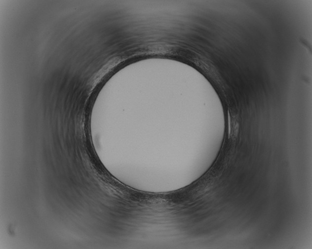 X0000100870483200807181240