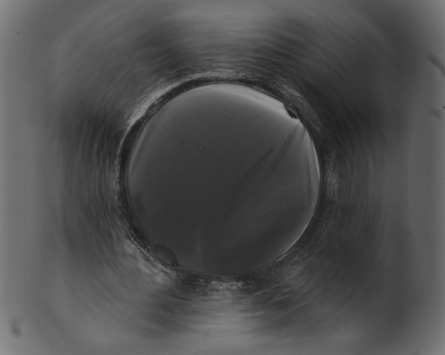 X0000100870484200807181240