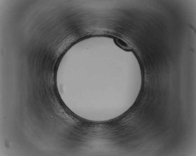 X0000100870485200807181240