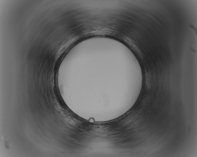 X0000100870486200807181240