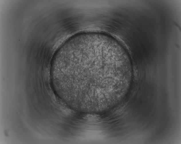 X0000100870487200807181240