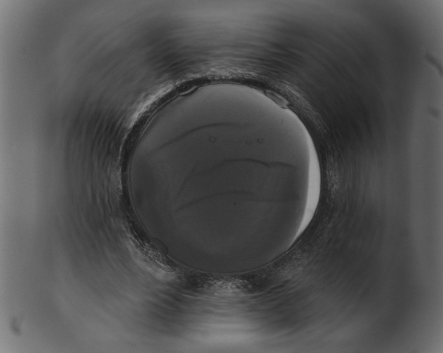 X0000100870488200807181240