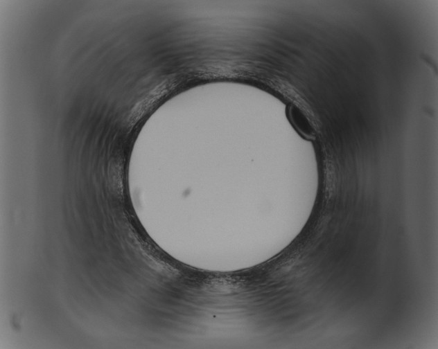 X0000100870489200807181240