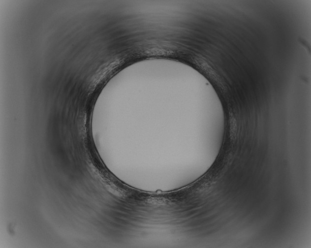 X0000100870490200807181240