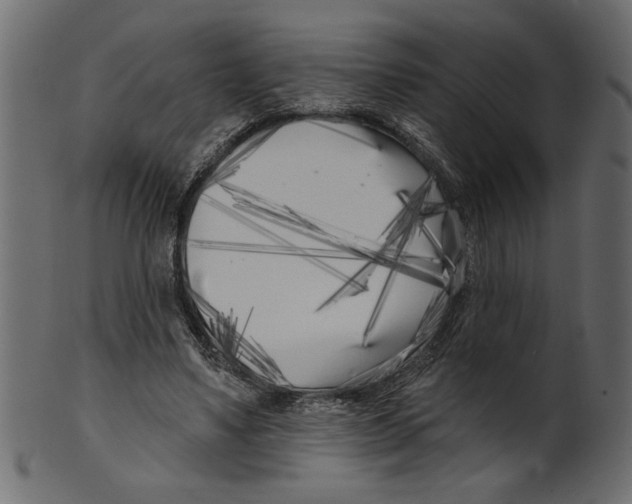 X0000100870491200807181240