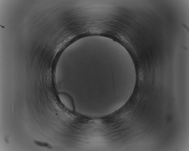 X0000100870492200807181240