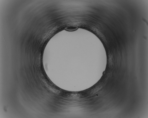 X0000100870493200807181240