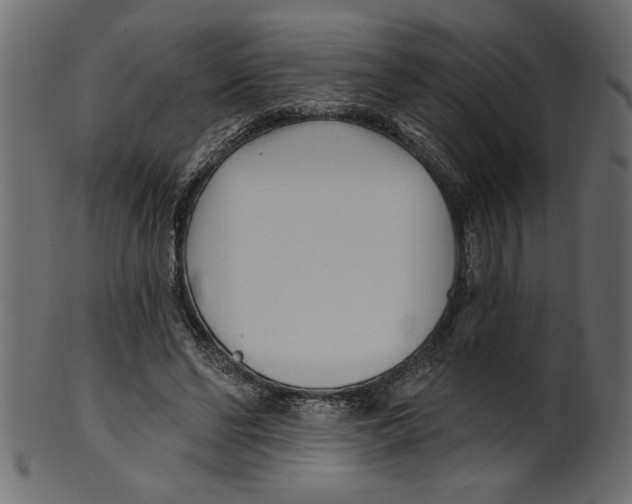 X0000100870494200807181239