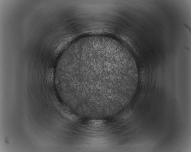 X0000100870495200807181239