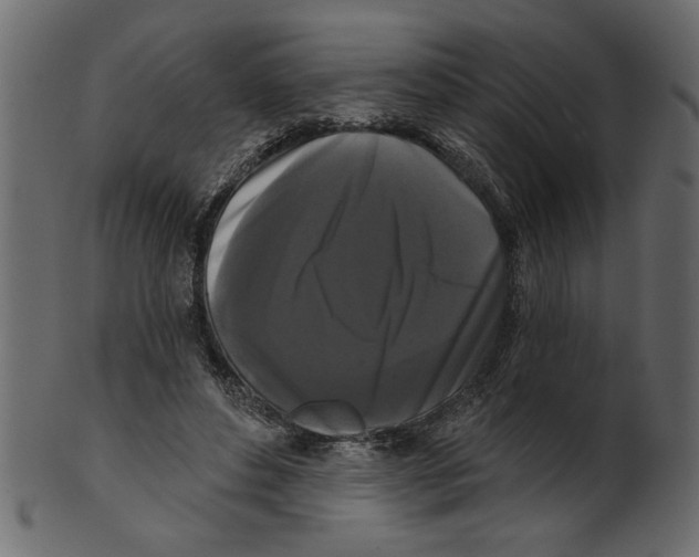 X0000100870496200807181239