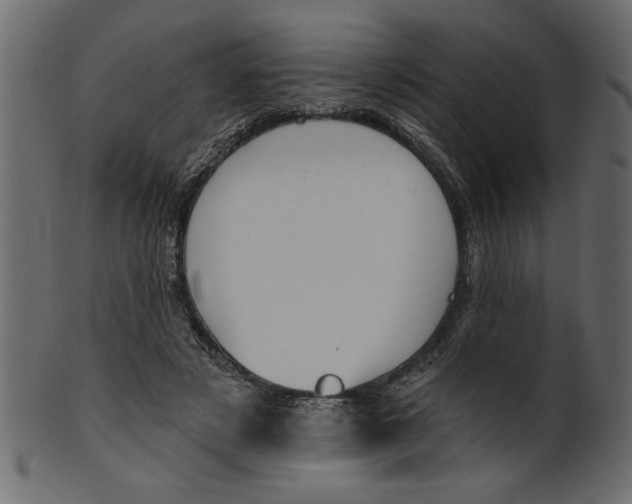 X0000100870497200807181239