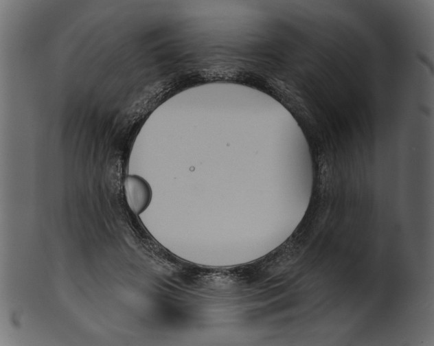 X0000100870498200807181239