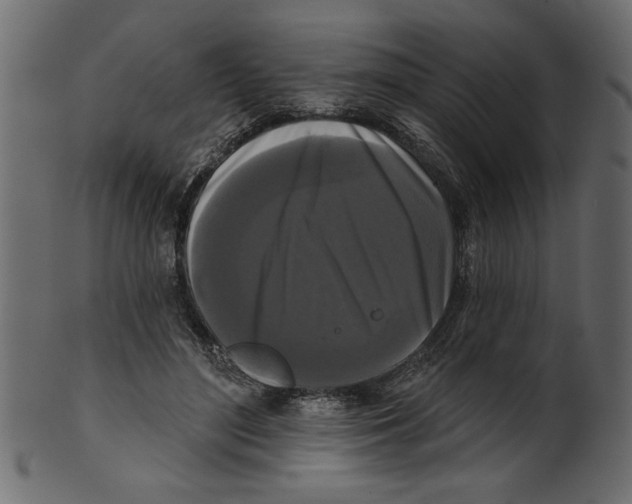 X0000100870500200807181239