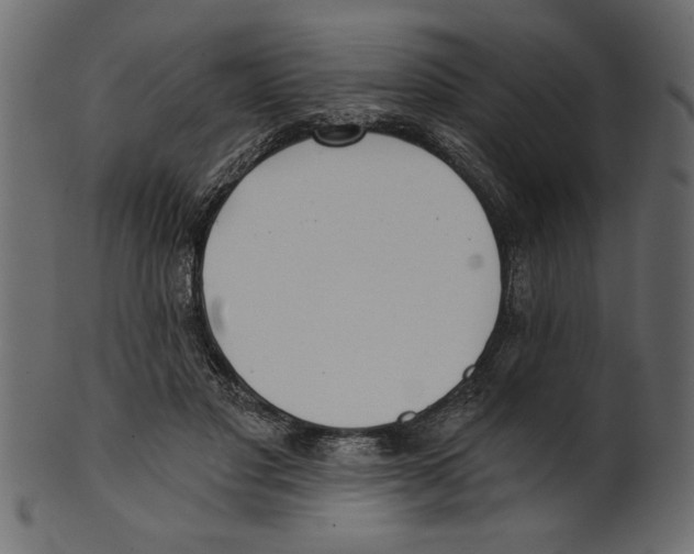 X0000100870501200807181239