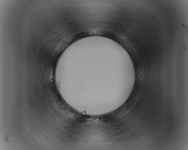 X0000100870502200807181239