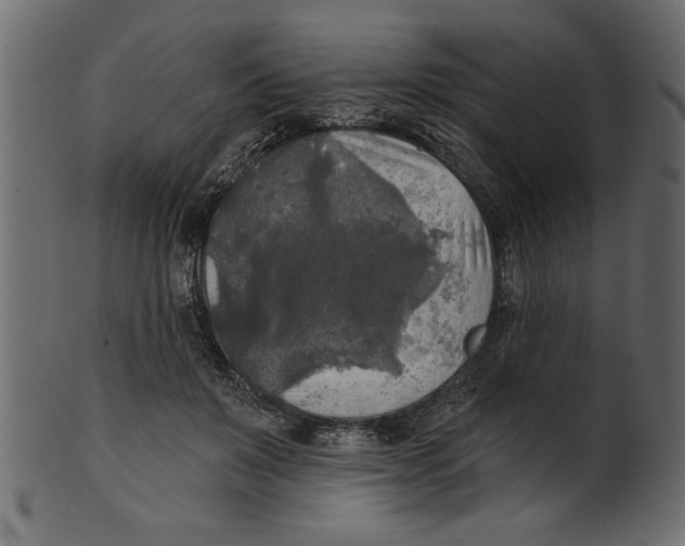X0000100870503200807181239