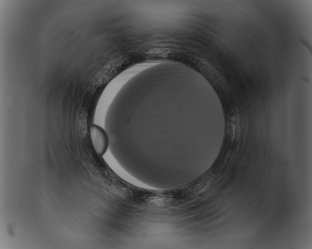 X0000100870504200807181239