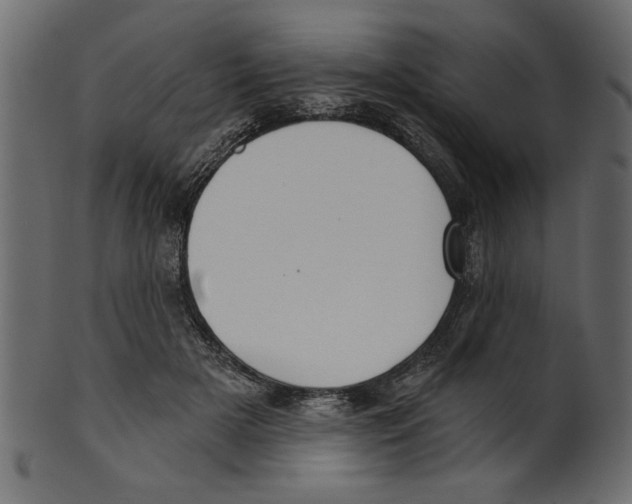 X0000100870505200807181239