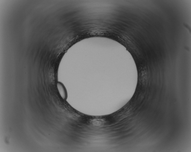 X0000100870508200807181239