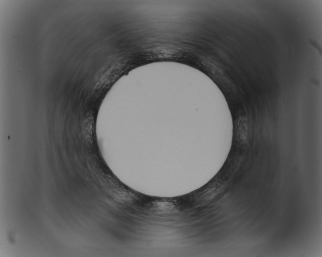X0000100870509200807181239