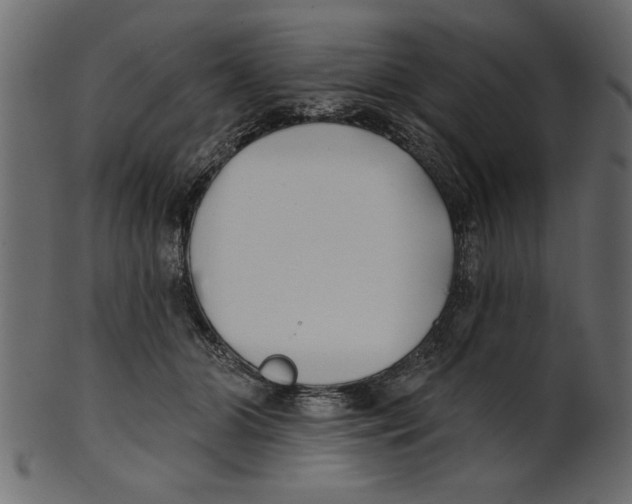 X0000100870510200807181239
