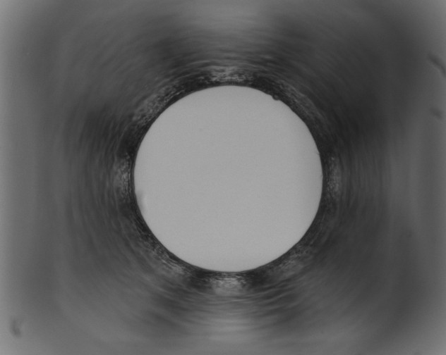 X0000100870513200807181239