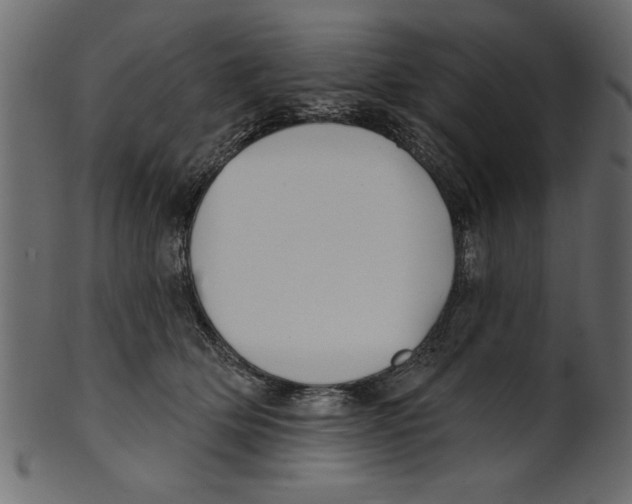 X0000100870514200807181239