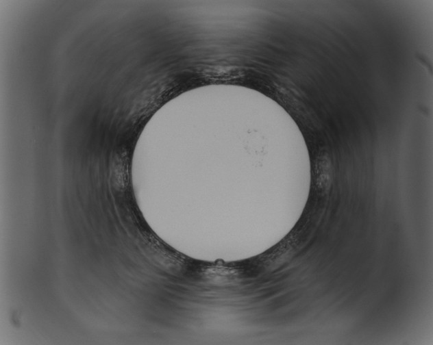 X0000100870515200807181239