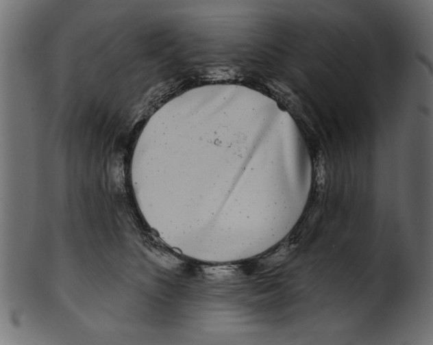 X0000100870516200807181239
