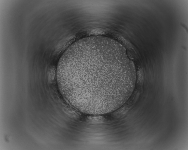 X0000100870517200807181239