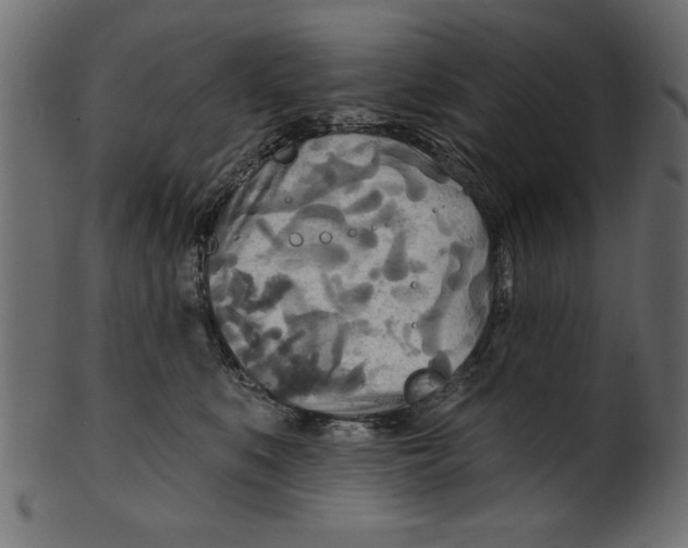 X0000100870519200807181239