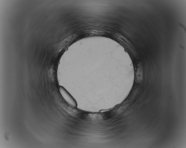 X0000100870520200807181239