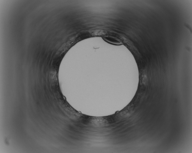 X0000100870521200807181239
