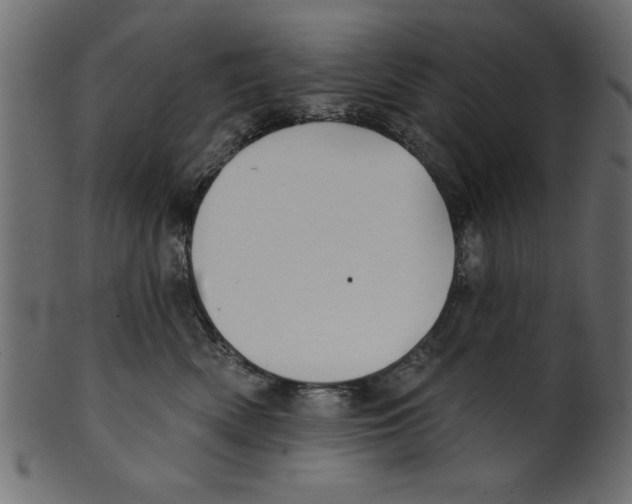 X0000100870522200807181239