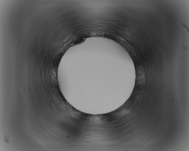 X0000100870523200807181239