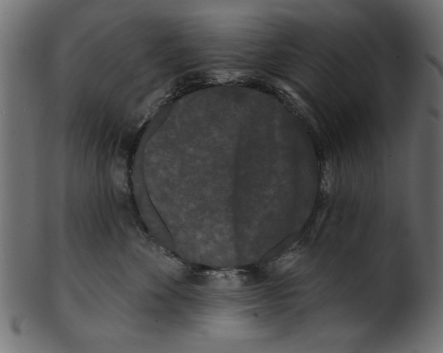 X0000100870524200807181239