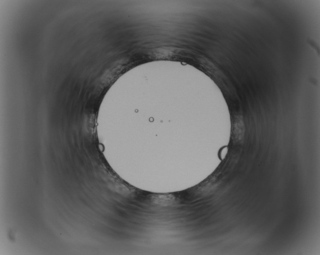 X0000100870525200807181239