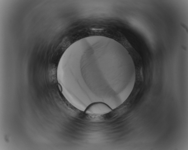 X0000100870526200807181239