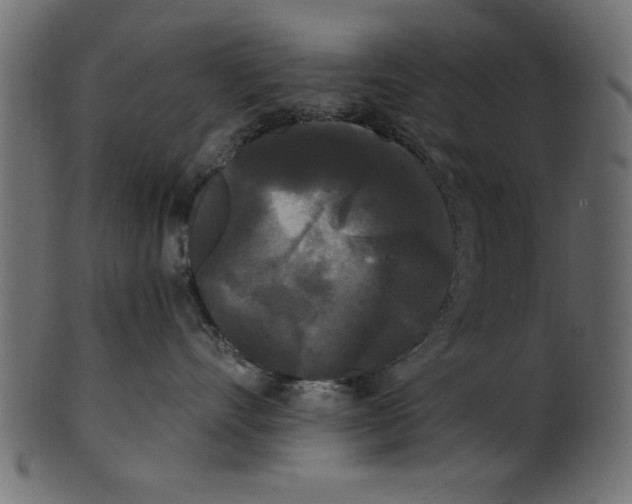 X0000100870528200807181239