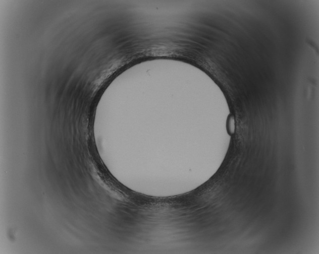 X0000100870530200807181238