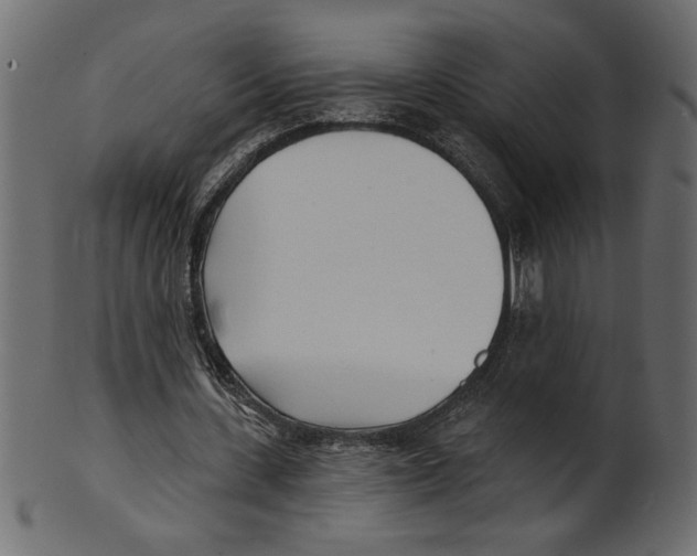 X0000100870531200807181238
