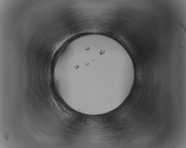 X0000100870532200807181238