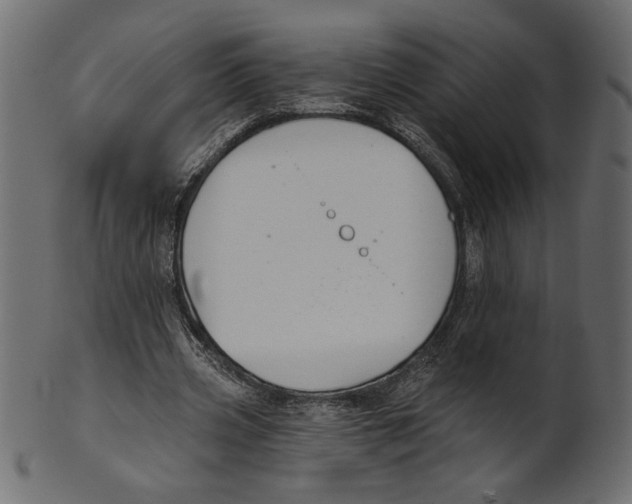 X0000100870533200807181238