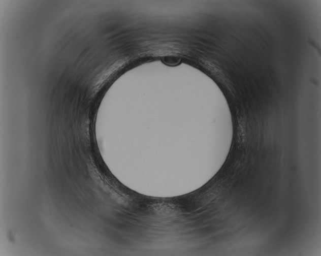 X0000100870535200807181238